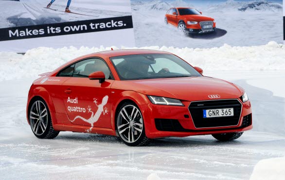 Audi Driving Experience