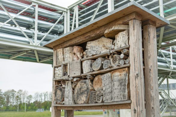 Biologisk mångfald främjas av Audi Environmental Foundation