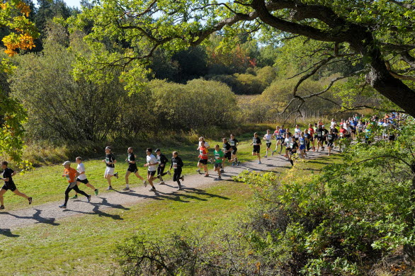 Lidingöloppet