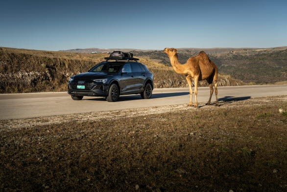 Audi Q8 e-tron Dakar edition